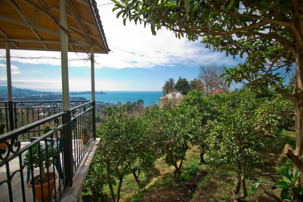 Guesthouse Mtsvane Koncxi 22 Mtsvane Konts'khi Exterior foto